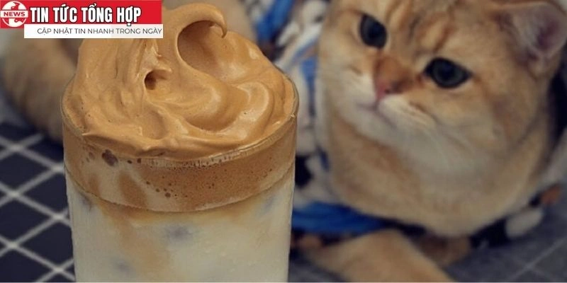 Mang đến cảm giác mềm mịn và thú vị trong từng ngụm