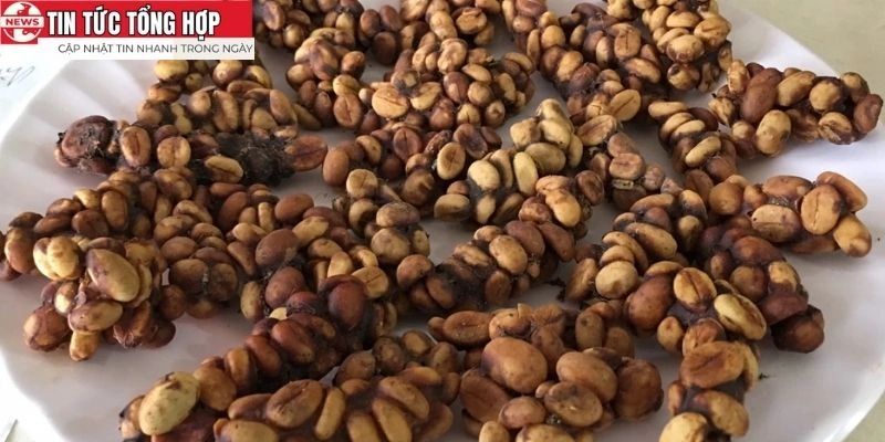 Cà Phê Chồn