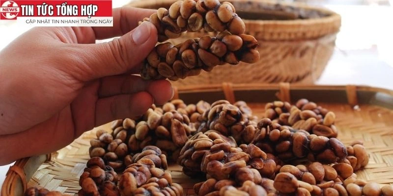 Được yêu thích vì hương vị đặc biệt và chất lượng vượt trội