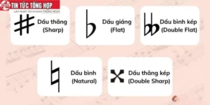 Các Nốt Trong Âm Nhạc