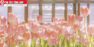 Top 10 Hình Nền Đẹp Nhất