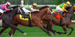 Đua Ngựa Bongvip Tại Bongvip: Cách Chơi Dễ Thắng Hôm Nay