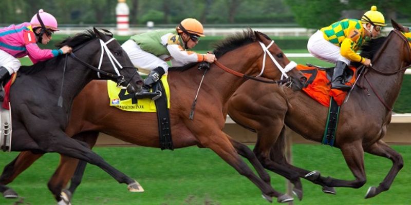 Đua Ngựa Bongvip Tại Bongvip: Cách Chơi Dễ Thắng Hôm Nay