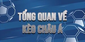 MMWIN Và Cá Cược Bóng Đá Theo Kèo Châu Á Thực Tế Nhất